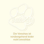 hundefotos deutscher_schaeferhund