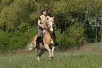 pferdefotos haflinger