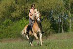 pferdefotos haflinger