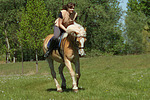 pferdefotos haflinger