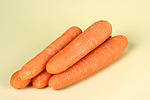 sonderthemen tierfutter