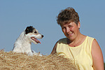 hundefotos parson_russell_terrier
