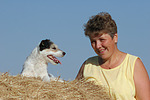 hundefotos parson_russell_terrier