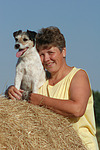 hundefotos parson_russell_terrier