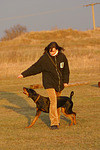 hundefotos dobermann