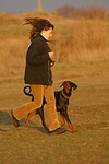 hundefotos dobermann