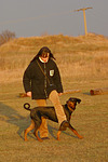 hundefotos dobermann