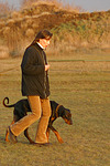 hundefotos dobermann