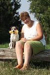 hundefotos parson_russell_terrier