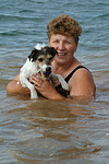 hundefotos parson_russell_terrier
