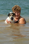 hundefotos parson_russell_terrier