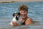 hundefotos parson_russell_terrier