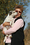 hundefotos parson_russell_terrier