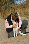 hundefotos parson_russell_terrier