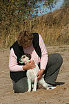 hundefotos parson_russell_terrier