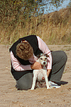 hundefotos parson_russell_terrier