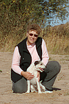 hundefotos parson_russell_terrier