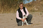hundefotos parson_russell_terrier
