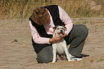 hundefotos parson_russell_terrier