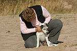 hundefotos parson_russell_terrier