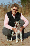 hundefotos parson_russell_terrier
