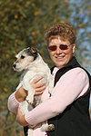 hundefotos parson_russell_terrier