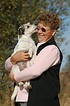hundefotos parson_russell_terrier