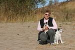hundefotos parson_russell_terrier