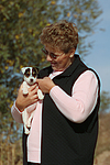 hundefotos parson_russell_terrier