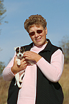 hundefotos parson_russell_terrier