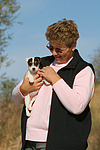 hundefotos parson_russell_terrier