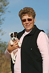 hundefotos parson_russell_terrier