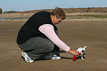 hundefotos parson_russell_terrier