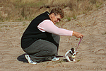 hundefotos parson_russell_terrier
