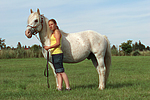 pferdefotos ponys