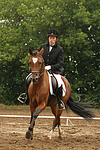 pferdefotos deutsches_reitpony