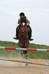 pferdefotos deutsches_reitpony