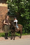 pferdefotos shetland_pony