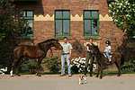 pferdefotos deutsches_reitpony