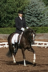 pferdefotos deutsches_reitpony