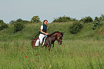 pferdefotos deutsches_reitpony