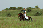 pferdefotos deutsches_reitpony