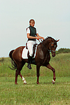 pferdefotos deutsches_reitpony