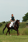 pferdefotos deutsches_reitpony