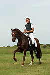 pferdefotos deutsches_reitpony