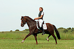 pferdefotos deutsches_reitpony