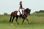 pferdefotos deutsches_reitpony