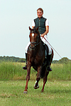 pferdefotos deutsches_reitpony