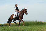 pferdefotos deutsches_reitpony