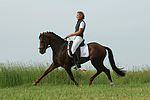 pferdefotos deutsches_reitpony
